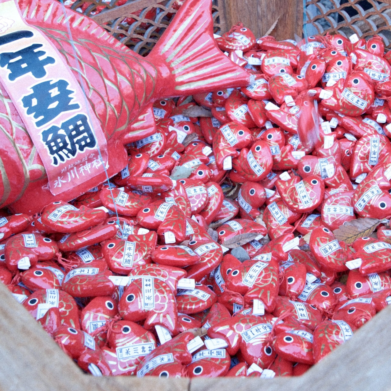 11月撮影会（川越エリア）