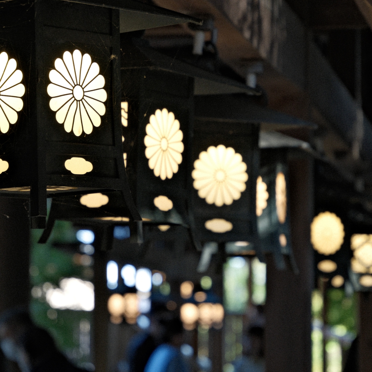 11月撮影会（川越エリア）