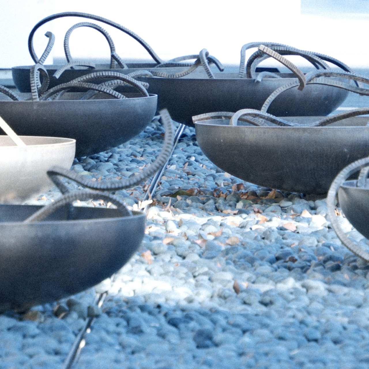 11月撮影会（川越エリア）