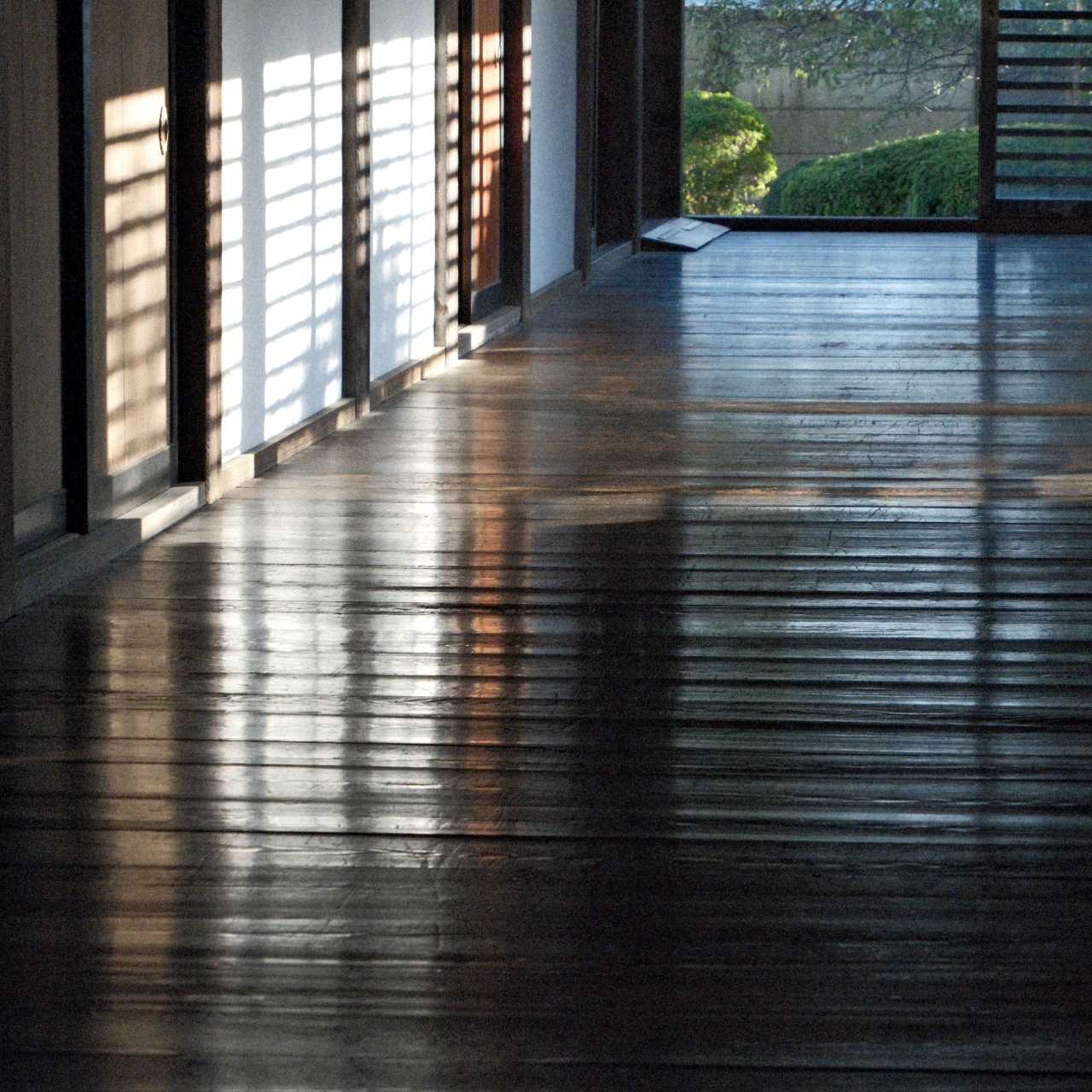 11月撮影会（川越エリア）