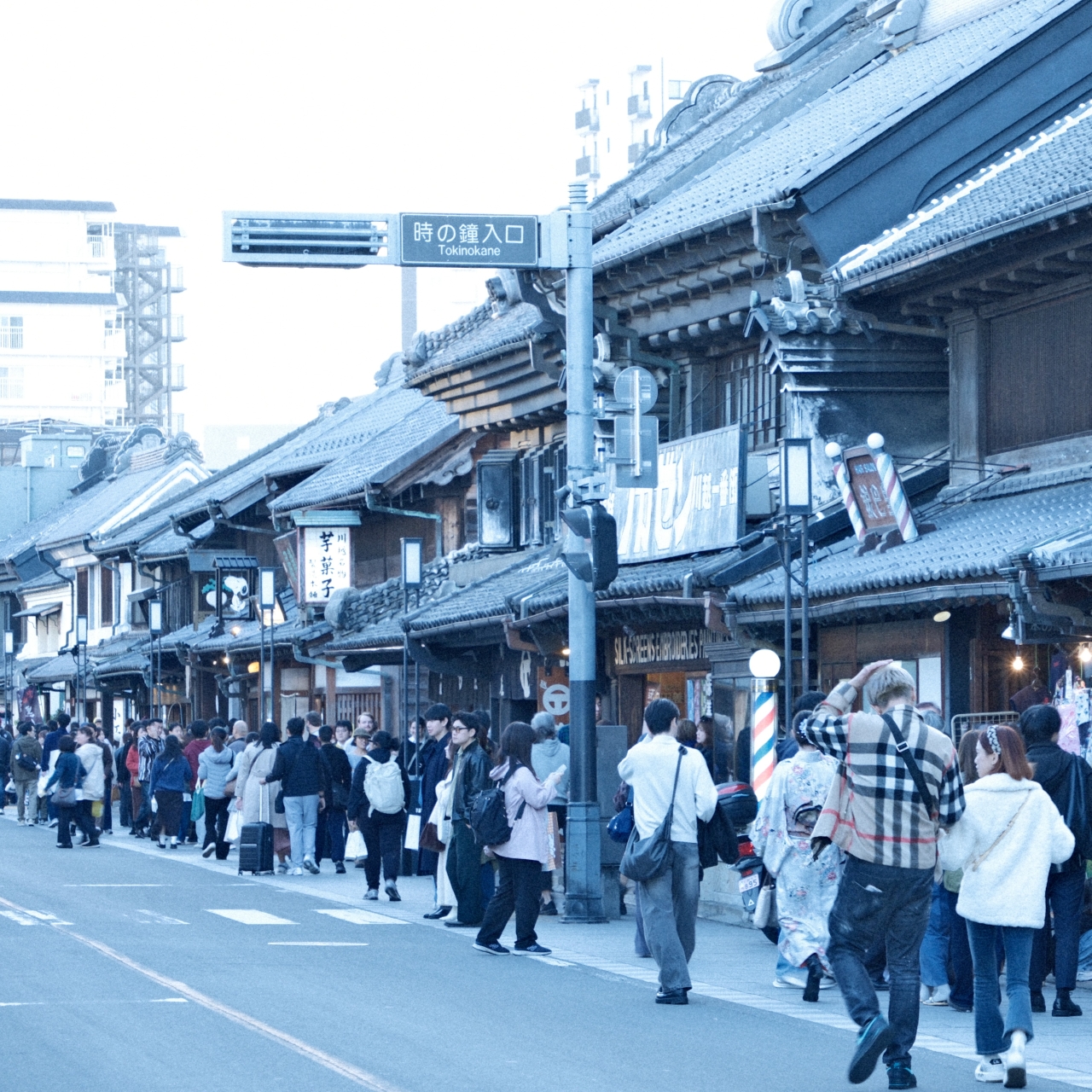 11月撮影会（川越エリア）